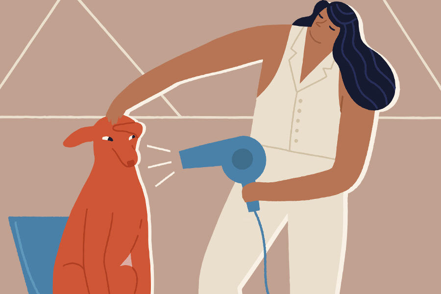 Experiential content